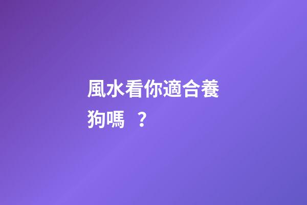 風水看你適合養狗嗎？